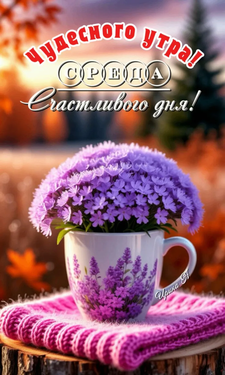 Изображение 49809722373