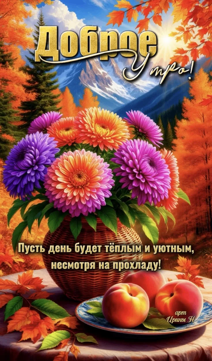 Изображение 49811200005