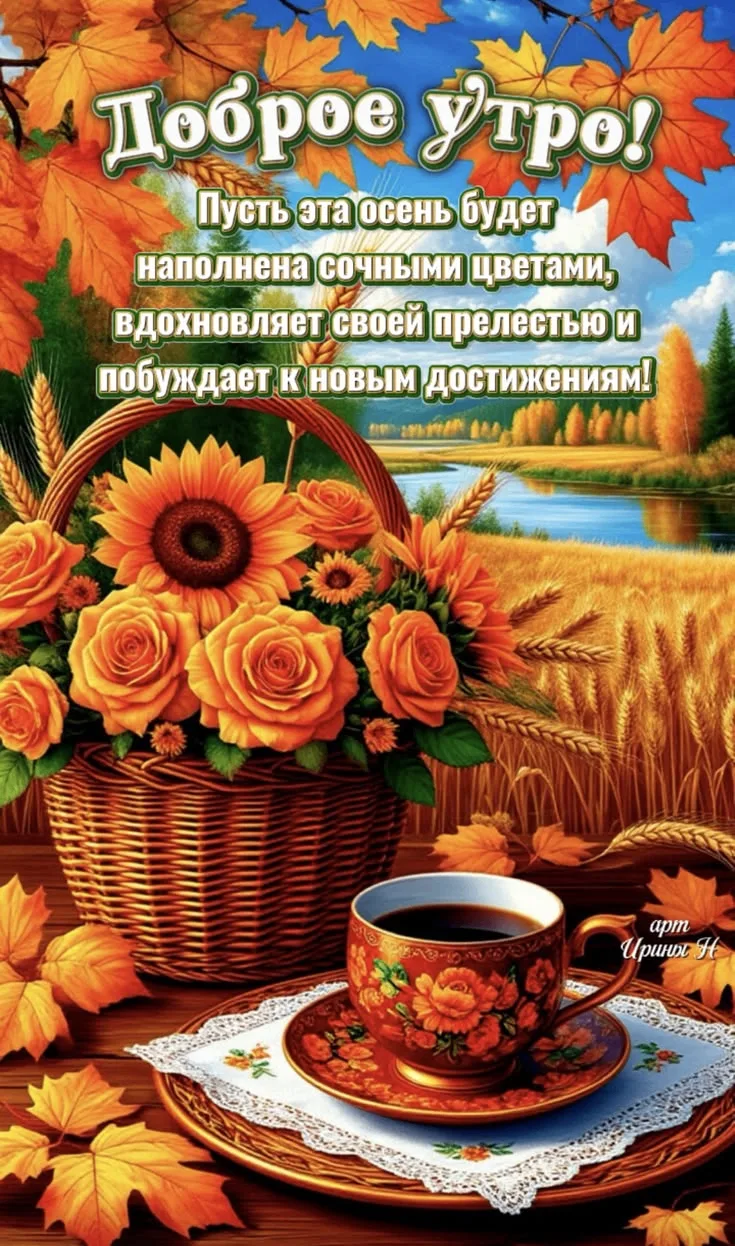 Изображение 49811648517