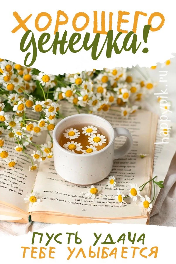 Изображение 50222785128