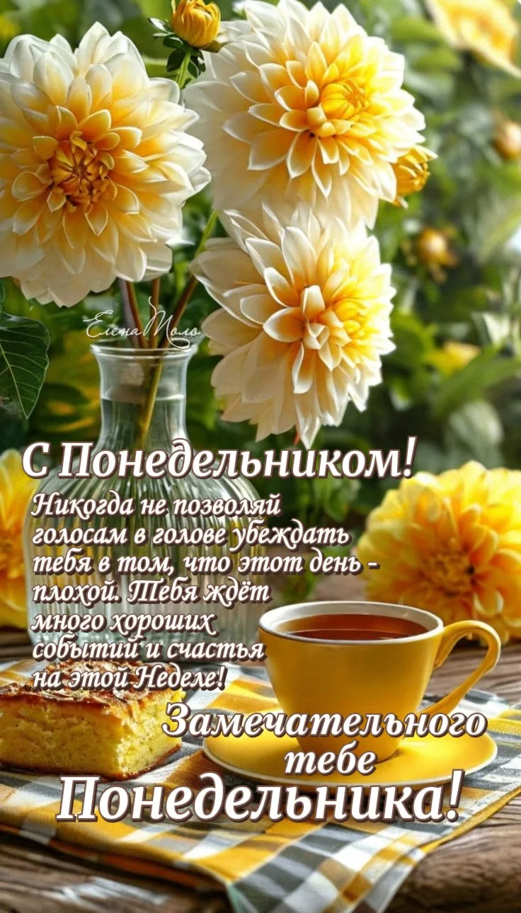 Изображение 50805701637