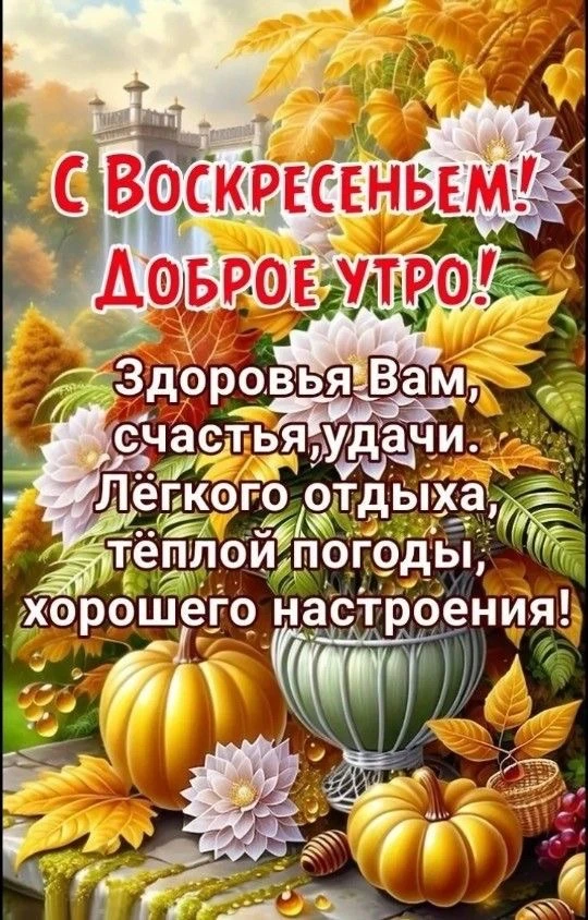 Изображение 55369479130