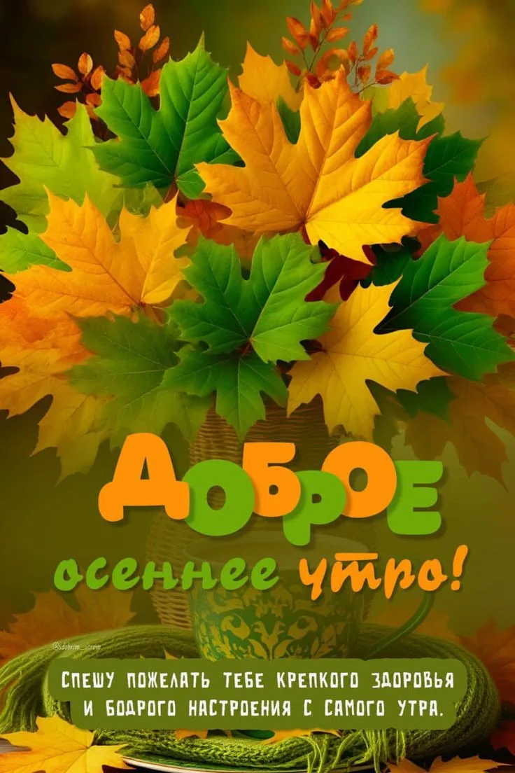Изображение 57600830688