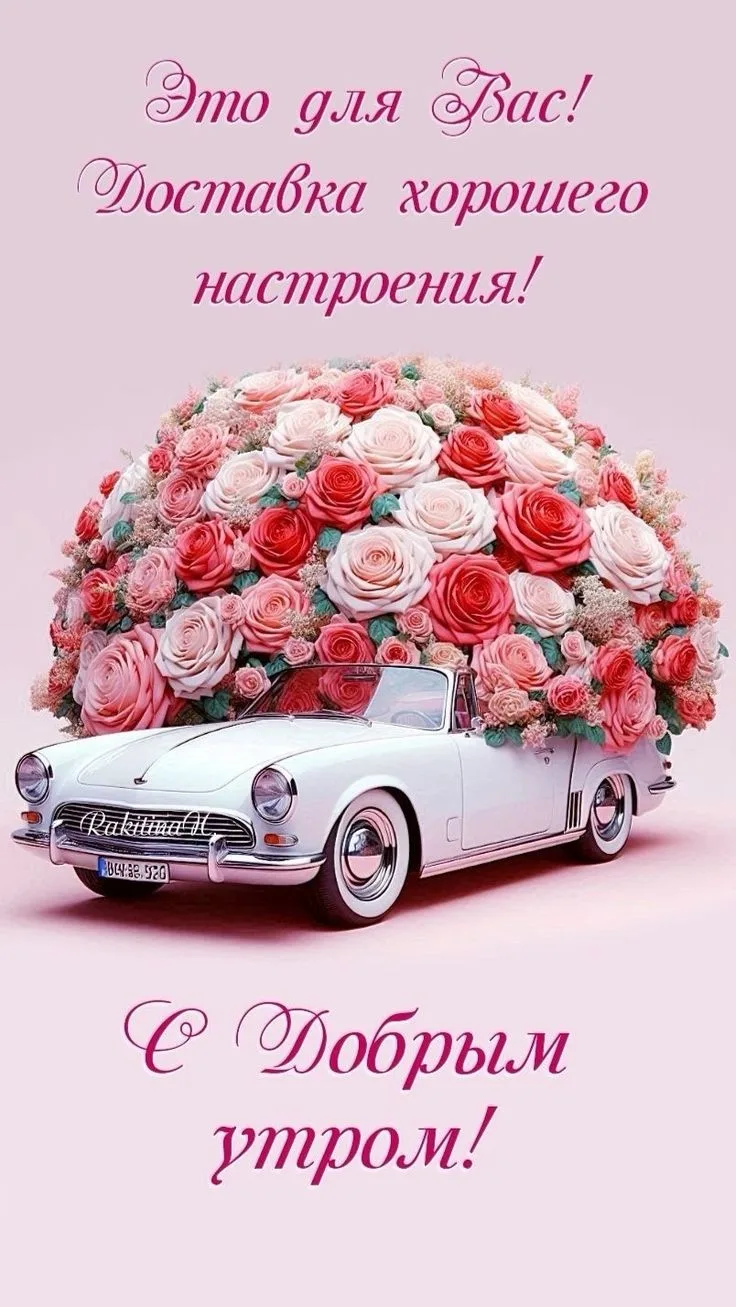 Изображение 58020620768