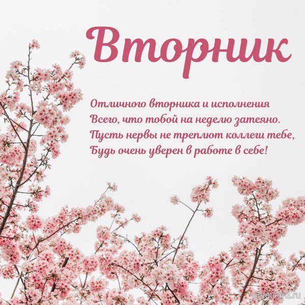 Открытка со вторником на фоне цветов Открытка со вторником на фоне цветов