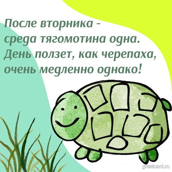 Открытка со средой: веселая черепашка