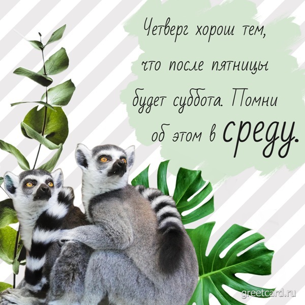 Открытка со средой с цветами
