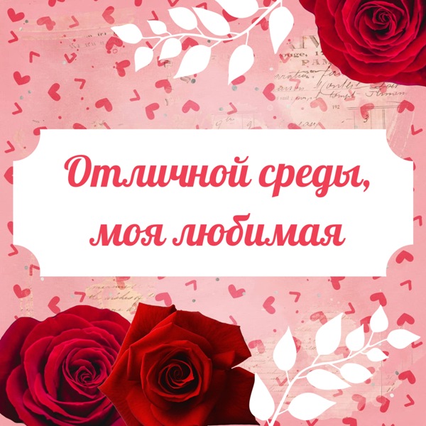 Отличной среды моя любимая!