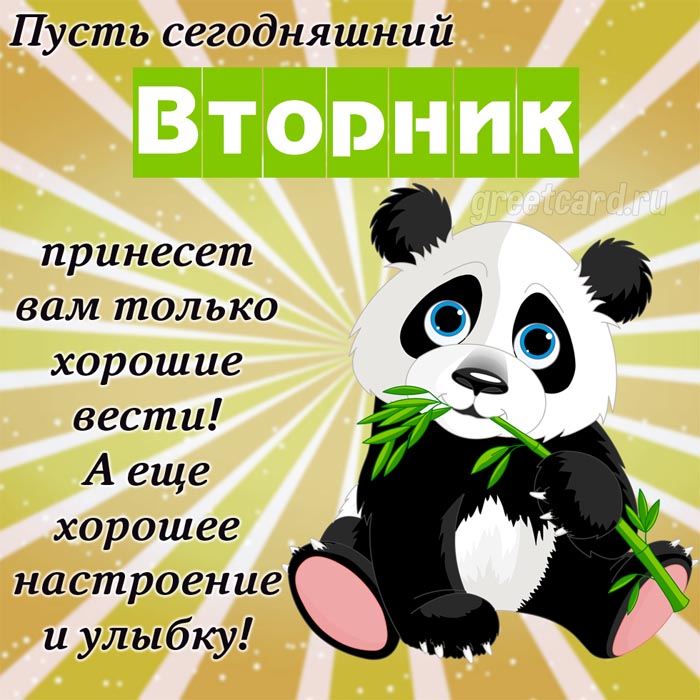 Открытка со вторником "веселая панда" с пожеланием