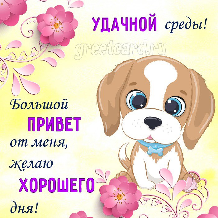 Открытка со средой с милым песиком