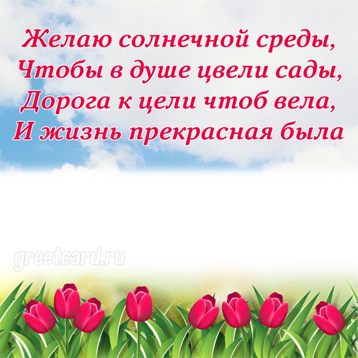 Желаю солнечной среды - открытка со стихами