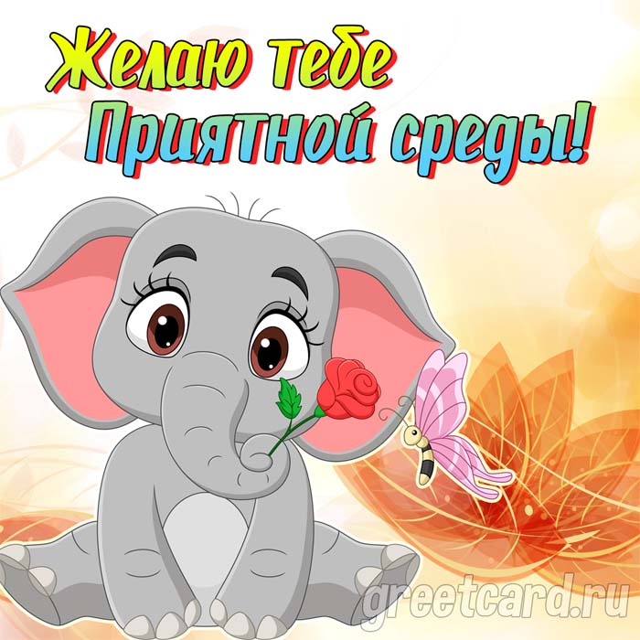 Открытка с милым слоником и пожеланием приятной среды