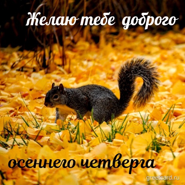 Желаю тебе доброго осеннего четверга - открытка