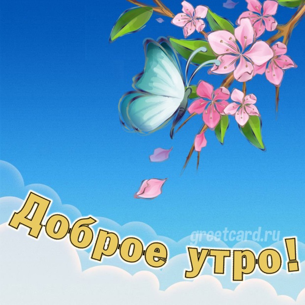 Пожелание доброго утра с цветами