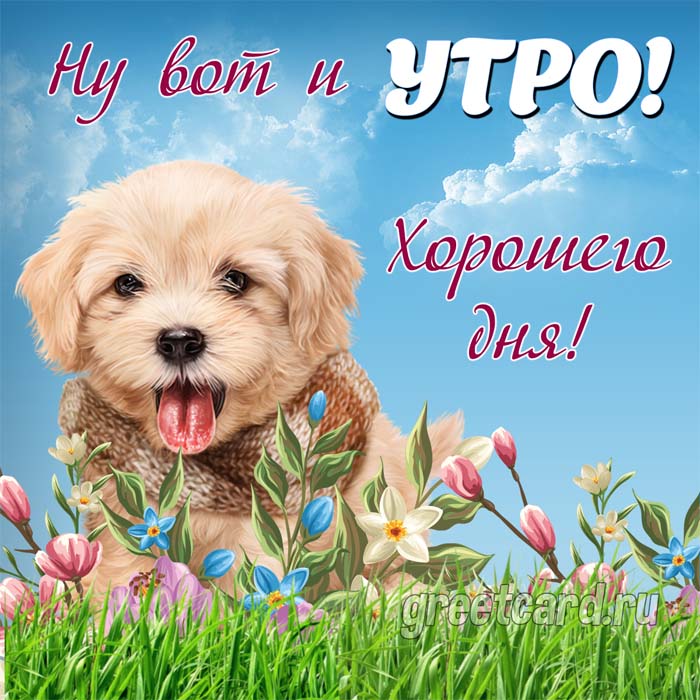 Открытка "Доброе утро" с милой собачкой на травке