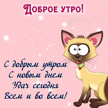 Котик желает самого доброго утра Котик желает самого доброго утра