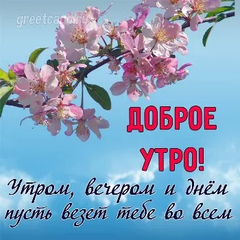 Пожелание доброго утра на милой открытке с веточкой цветов Пожелание доброго утра на милой открытке с веточкой цветов