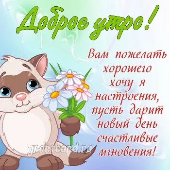 Картинка с добрым утром - котенок дарит цветы Картинка с добрым утром - котенок дарит цветы