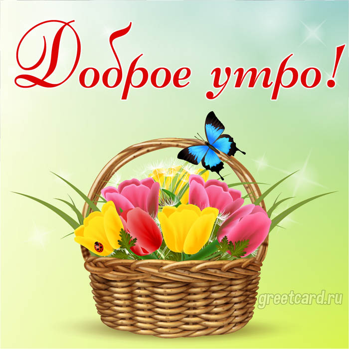 Доброе утро с корзиной цветов