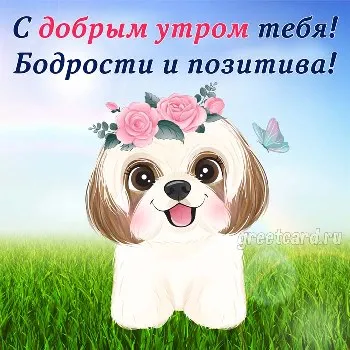 Самого доброго утра и хорошего настроения на весь день Самого доброго утра и хорошего настроения на весь день