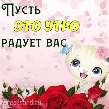 Пожелание доброго утра с котенком Пожелание доброго утра с котенком