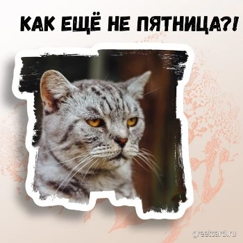 Открытка с четвергом с милым котом и подписью