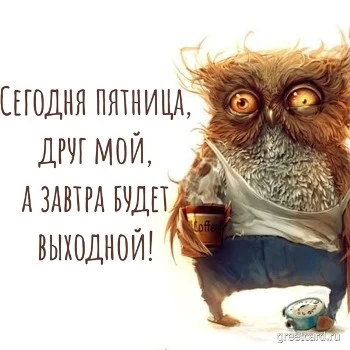Открытка поздравления с пятницей прикольная Открытка поздравления с пятницей прикольная