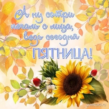 Осенняя картинка на утро пятницы с подсолнухом