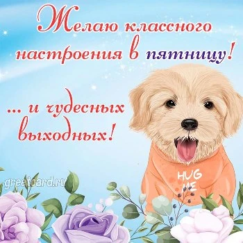 Открытка: хорошего настроения в пятницу с милой собачкой