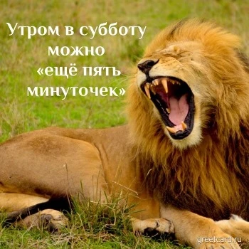 Утренняя открытка с субботой: еще 5 минуточек Утренняя открытка с субботой: еще 5 минуточек