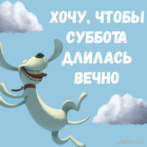 Картинка с субботним утром: милая собачка не хочет чтобы суббота заканчивалась