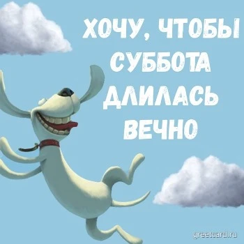 Картинка с субботним утром: милая собачка не хочет чтобы суббота заканчивалась