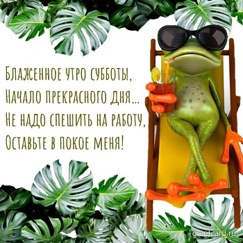 Картинка с субботним утром и лягушкой на отдыхе Картинка с субботним утром и лягушкой на отдыхе