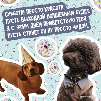 Картинка с субботой и милыми собачками Картинка с субботой и милыми собачками