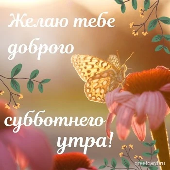 Открытка: желаю тебе доброго субботнего утра