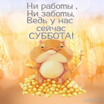 Картинка: ни работы, ни заботы, ведь у нас сейчас суббота Картинка: ни работы, ни заботы, ведь у нас сейчас суббота