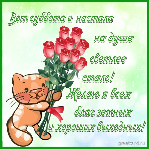 Открытка с субботой: котик дарит цветы