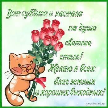 Открытка с субботой: котик дарит цветы Открытка с субботой: котик дарит цветы