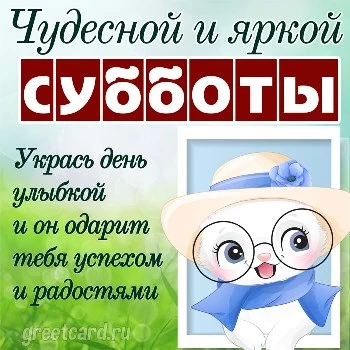 Открытки с субботним утром прикольные Открытки с субботой