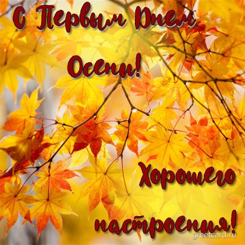 Первый день осени картинки и открытки красивые Первый день осени картинки и открытки красивые