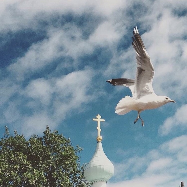 Раздражение – острое проявление озлобления и недовольства Раздражение – острое проявление озлобления и недовольства