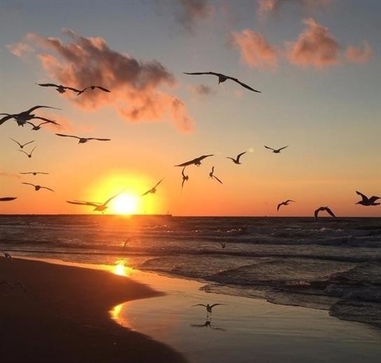 Где темно - мы должны быть светом. Где веры нет - мы должны Где темно - мы должны быть светом. Где веры нет - мы должны
