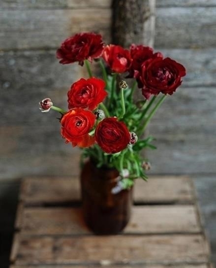 Не взращивайте в своем уме того, что вы не захотели бы