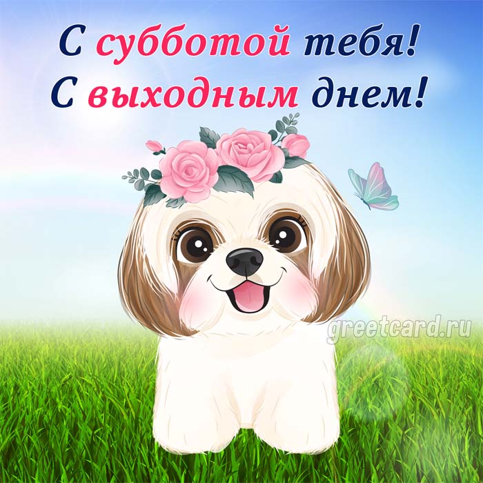 Открытка с субботой друзьям хорошего дня