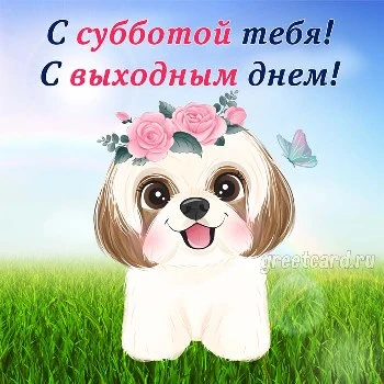 Открытка с субботой друзьям хорошего дня Открытка с субботой друзьям хорошего дня