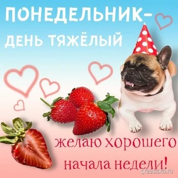 Открытка: понедельник день тяжелый