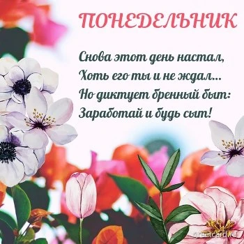 Открытка с понедельником с цветами