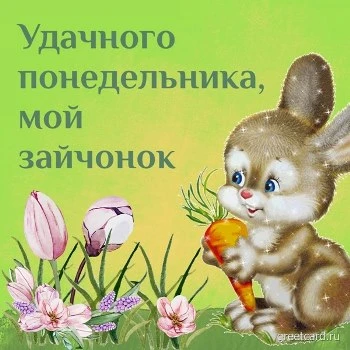 Удачного понедельника мой зайчонок открытка