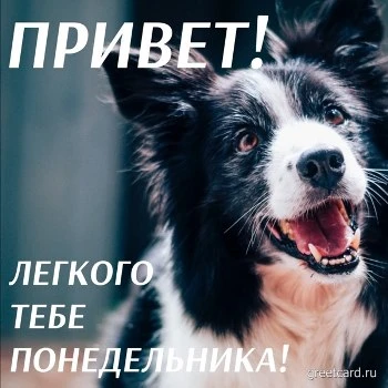 Легкого тебе понедельника бесплатная открытка