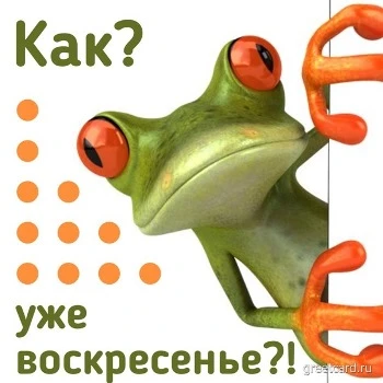 Открытка на воскресеньем с лягушкой Открытка на воскресеньем с лягушкой